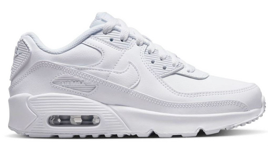 Air Max 90 LTR